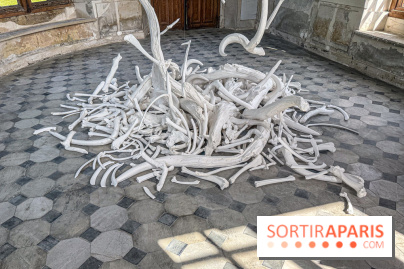 Lélia Demoisy au Domaine de Chamarande : une exposition autour des récits de forêts