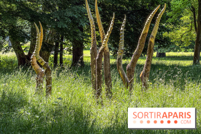 Lélia Demoisy au Domaine de Chamarande : une exposition autour des récits de forêts