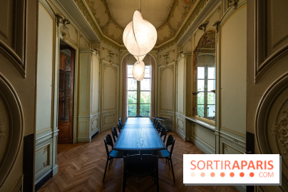 La Maison Guimet (Hôtel d'Heidelbach) - les photos
