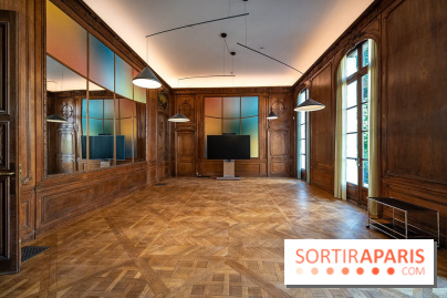 La Maison Guimet (Hôtel d'Heidelbach) - les photos