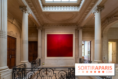 La Maison Guimet (Hôtel d'Heidelbach) - les photos