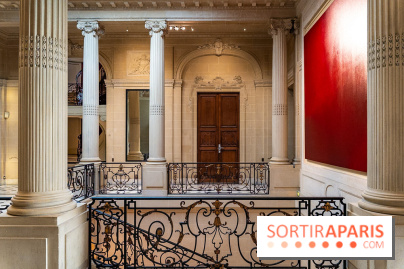 La Maison Guimet (Hôtel d'Heidelbach) - les photos
