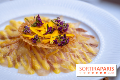 La terrasse jardin du Sax Hotel avec piscine - carpaccio de sériole