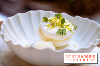 La terrasse jardin du Sax Hotel avec piscine - pavlova citron