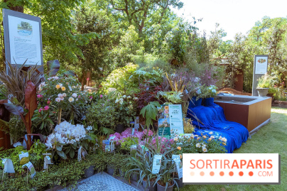 Jardins, Jardin 2026, le salon jardins en plein air à Paris, les photos
