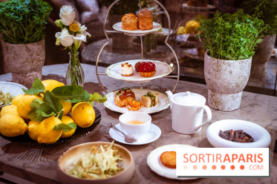 Tea time sensoriel de Matthieu Carlin à l'Hôtel de Crillon - les photos