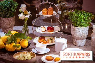 Tea time sensoriel de Matthieu Carlin à l'Hôtel de Crillon - les photos