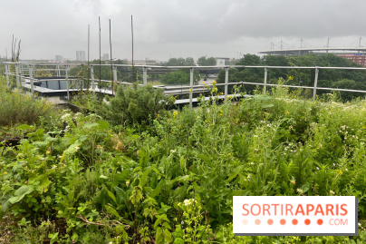 L'aromathèque Persépolis, sur le toit de la bourse du travail à Saint-Denis - nos photos