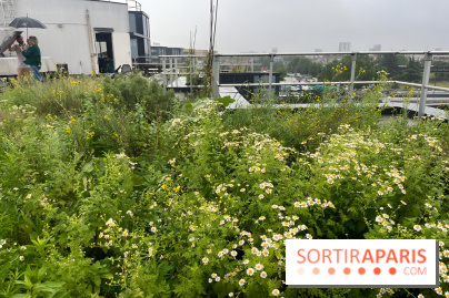 L'aromathèque Persépolis, sur le toit de la bourse du travail à Saint-Denis - nos photos