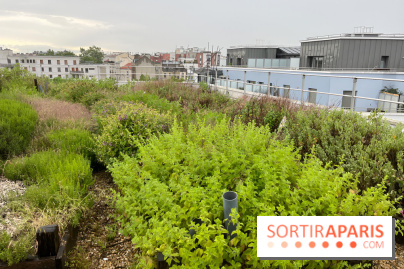 L'aromathèque Persépolis, sur le toit de la bourse du travail à Saint-Denis - nos photos