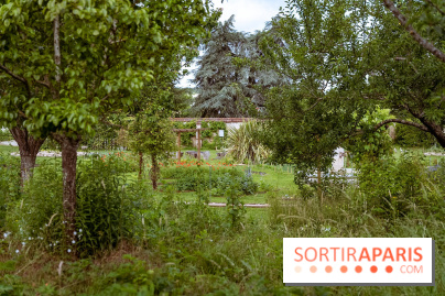 Le domaine du Chateau de la Celle SainCloud dans les Yvelines - photos