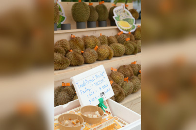 Sawasdee Thailand Festival 2026 - 12780