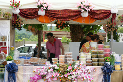 Sawasdee Thailand Festival 2026 - 12787