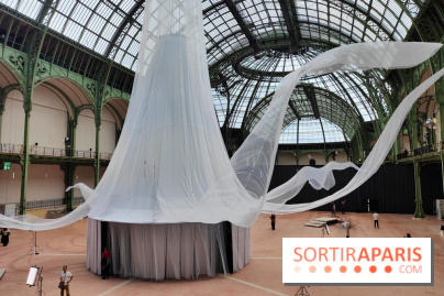 Nous, frissons d'étoile : une installation immersive contemporaine au Grand Palais