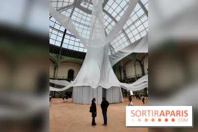 Nous, frissons d'étoile : une installation immersive contemporaine au Grand Palais