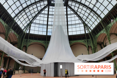 Nous, frissons d'étoile : une installation immersive contemporaine au Grand Palais
