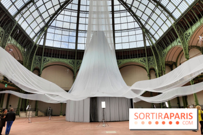 Nous, frissons d'étoile : une installation immersive contemporaine au Grand Palais