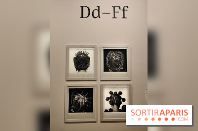 La photographie en toutes lettres, un abécédaire artistique exposé à la MEP