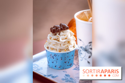 Le comptoir à glaces de Pleincœur et ses coupes glacées - photos
