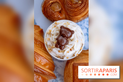 Le comptoir à glaces de Pleincœur et ses coupes glacées - photos