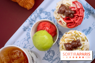 Le comptoir à glaces de Pleincœur et ses coupes glacées - photos
