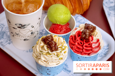 Le comptoir à glaces de Pleincœur et ses coupes glacées - photos