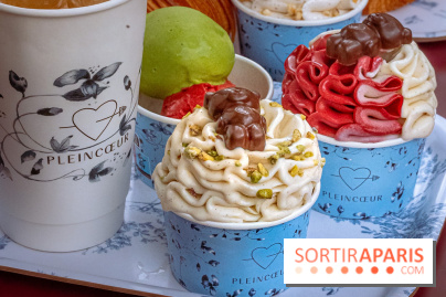 Le comptoir à glaces de Pleincœur et ses coupes glacées - photos