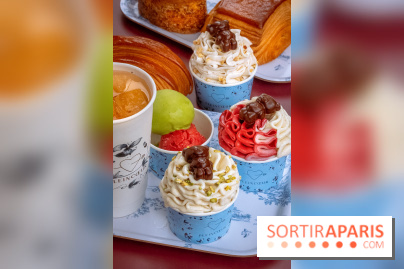 Le comptoir à glaces de Pleincœur et ses coupes glacées - photos