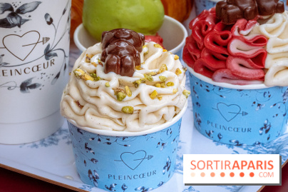 Le comptoir à glaces de Pleincœur et ses coupes glacées - photos