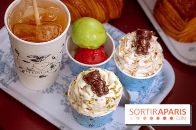 Le comptoir à glaces de Pleincœur et ses coupes glacées - photos