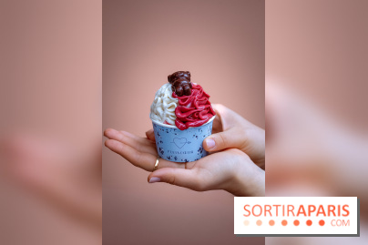 Le comptoir à glaces de Pleincœur et ses coupes glacées - photos
