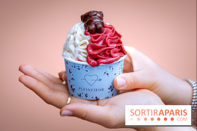 Le comptoir à glaces de Pleincœur et ses coupes glacées - photos