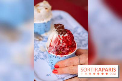 Le comptoir à glaces de Pleincœur et ses coupes glacées - photos