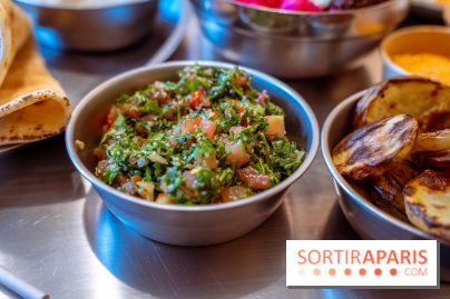Shwi, le restaurant libanais dédié au Farrouj meshwi - poulet grillé du Canal Saint-Martin - photos