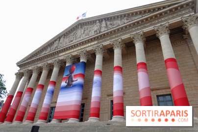 Seth habille la colonnade de l’Assemblée nationale - nos photos