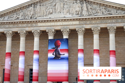 Seth habille la colonnade de l’Assemblée nationale - nos photos