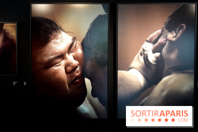 Sumo, forces sacrées : nos photos de l'exposition
