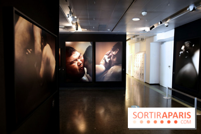 Sumo, forces sacrées : nos photos de l'exposition