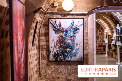Exposition street art Sax à l’église de la Madeleine - les photos