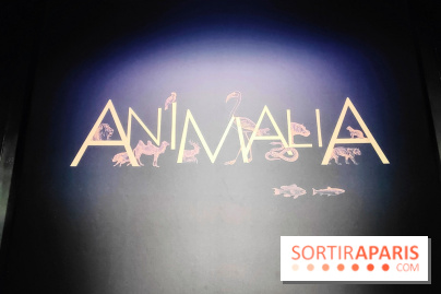 Expo Animalia : quand les animaux inspirent les artistes à travers les siècle à l'Hôtel de la Marine