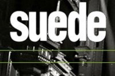 suede