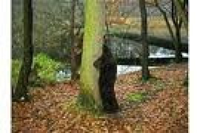 les rêves de margaret