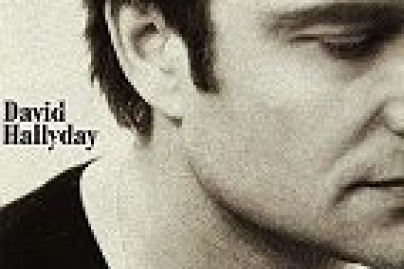 david