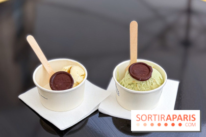 Glaces gratuites AMI Paris - Facetune 02 07 2026 21 53 20