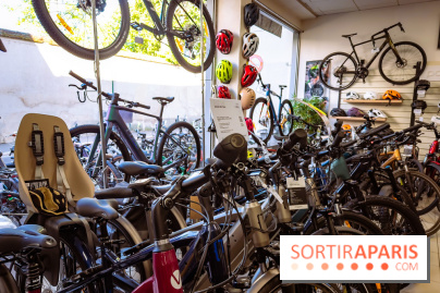 Liaisons douces à Fontainebleau : la forêt à vélo, les photos