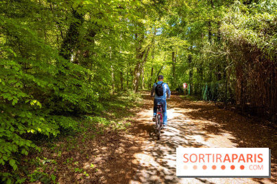 Liaisons douces à Fontainebleau : la forêt à vélo, les photos