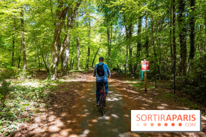 Liaisons douces à Fontainebleau : la forêt à vélo, les photos