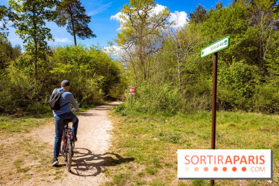 Liaisons douces à Fontainebleau : la forêt à vélo, les photos