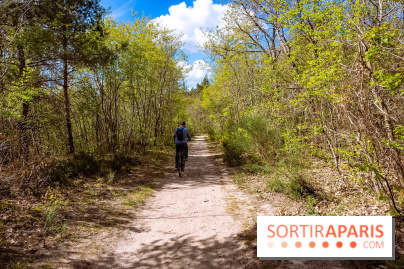 Liaisons douces à Fontainebleau : la forêt à vélo, les photos