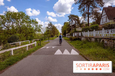 Liaisons douces à Fontainebleau : la forêt à vélo, les photos